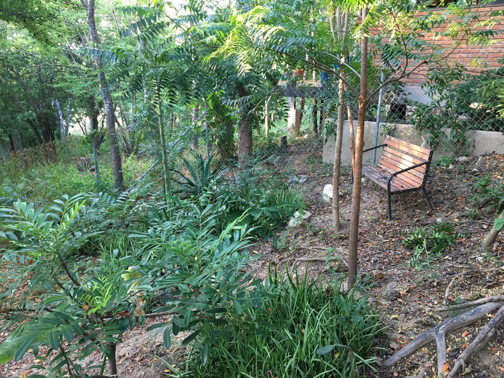 Cuatunalco Centro Sati Bungalow מראה חיצוני תמונה