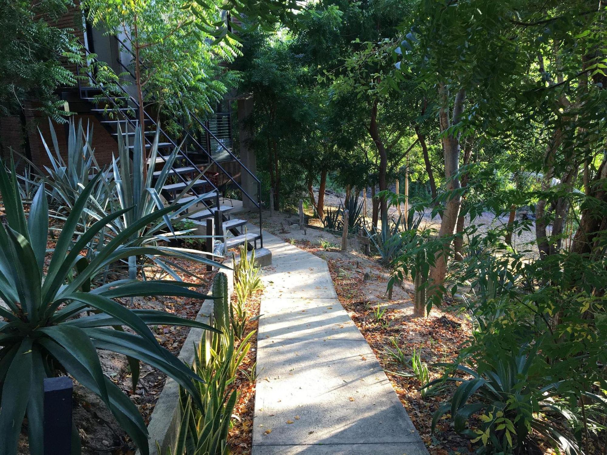 Cuatunalco Centro Sati Bungalow מראה חיצוני תמונה